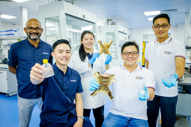 Using this collagen-rich marine by-product as a raw material can reduce wastage and the product cost of pure collagen at scale. (PHOTO: Nanyang Technological University)