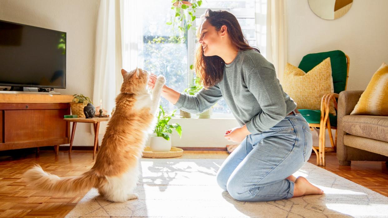  Young woman kneeling in her living room and teaching her cat tricks. 