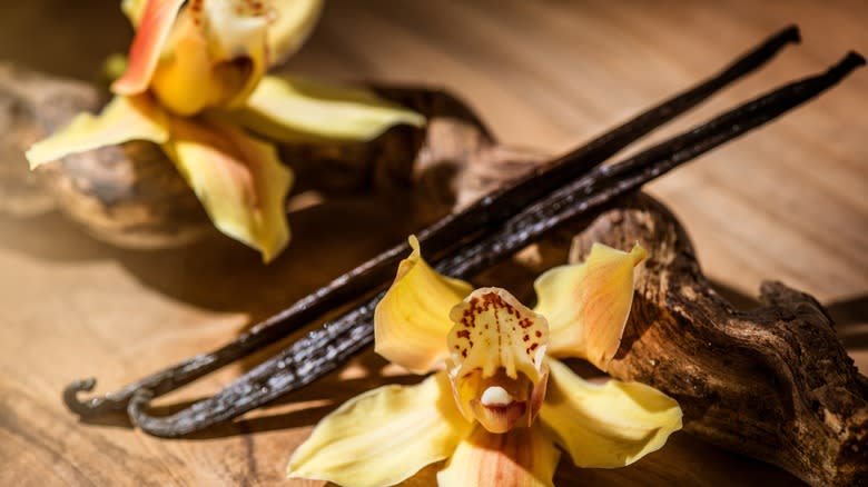 vanilla pod and flower