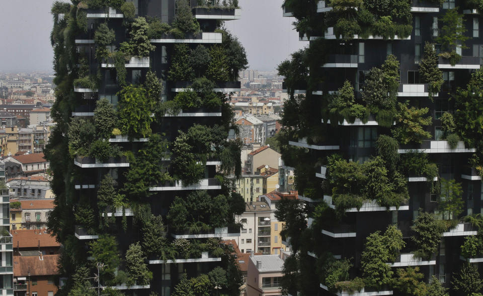 In this picture taken on Aug. 3, 2017 a partial view of the vertical forest residential towers at the Porta Nuova district, in Milan, Italy. If Italy's fashion capital has a predominant color, it is gray not only because of the blocks of uninterrupted neoclassical stone buildings for which the city is celebrated, but also due to the often-gray sky that traps in pollution. The city has ambitious plans to plant 3 million new trees by 2030_ a move that experts say could offer relief to the city’s muggy and sometimes tropical weather. (AP Photo/Luca Bruno)