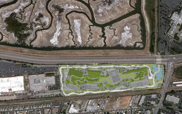 How Green Is Facebook's Massive Green Roof? 