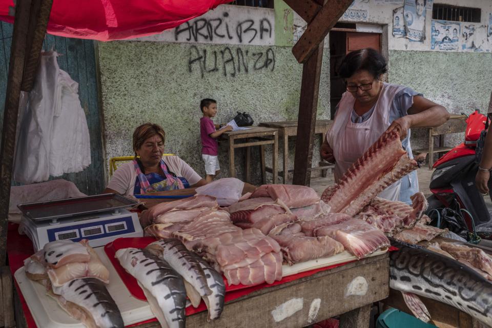 A vendor arranges her fish filets on her stall at a street market in the Belen neighborhood of Iquitos, Peru, Saturday May 25, 2024. The Indigenous community in the heart of Peru's Amazon known as the "Venice of the Jungle" is hosting the Muyuna Floating Film Festival, celebrating tropical forests. (AP Photo/Rodrigo Abd)