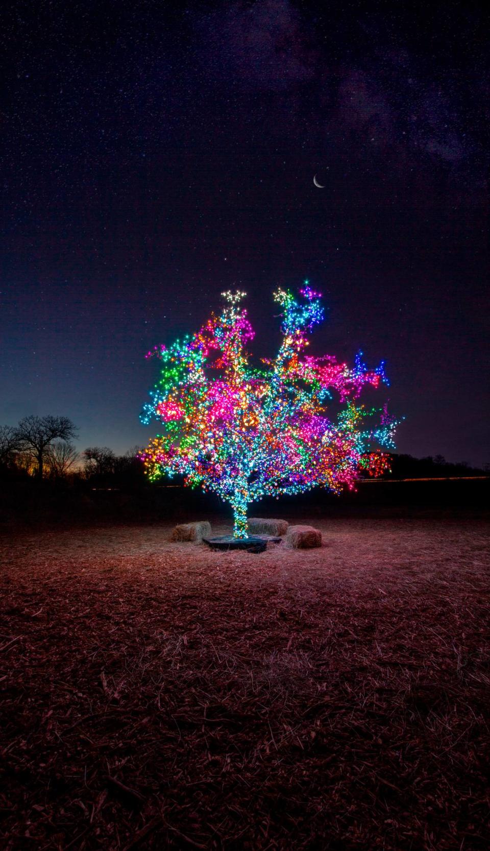 The tree, which holds 17,000 lights, is a beacon in Lee’s Summit.