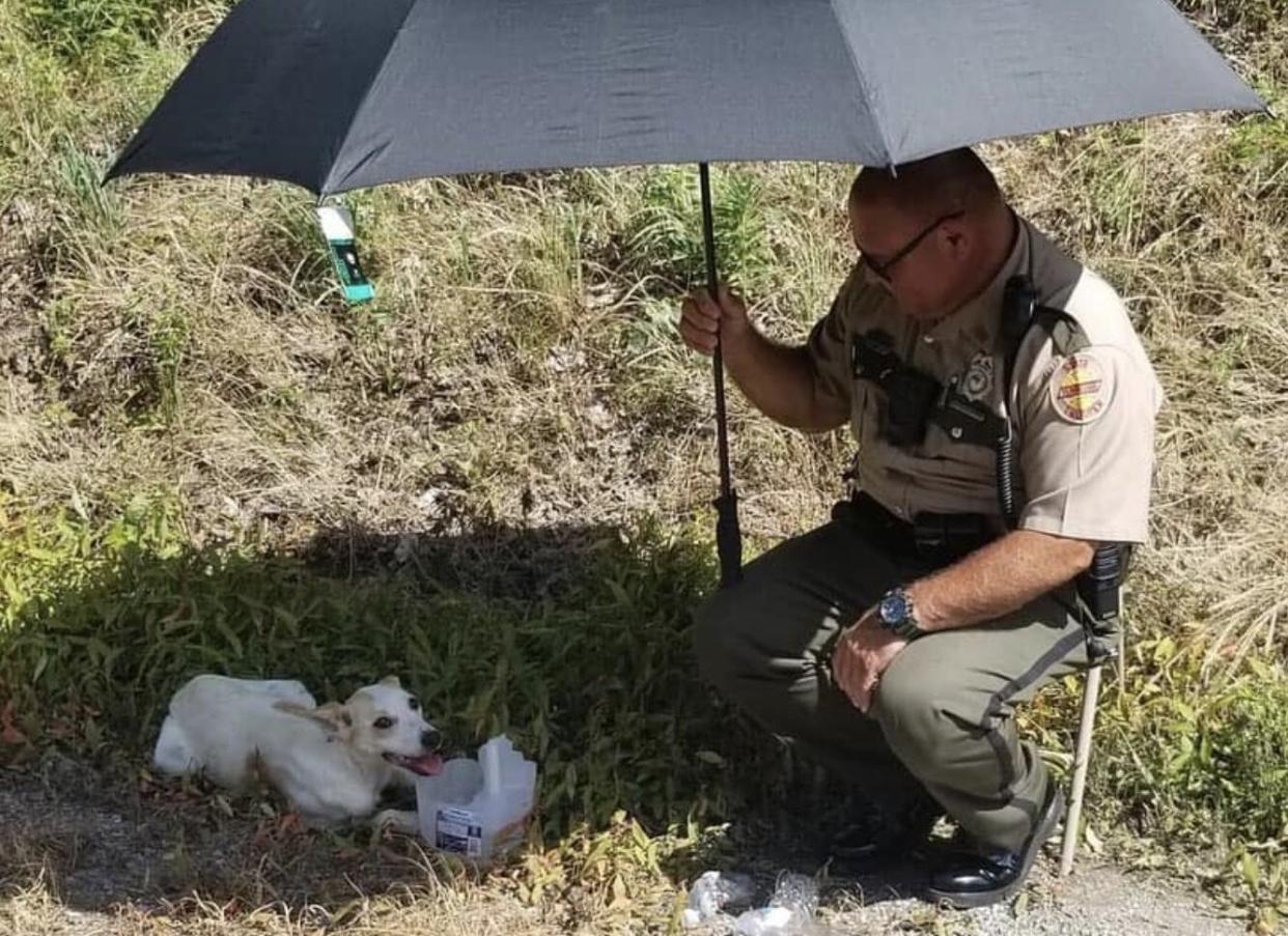 police officer bends down holding umbrella to shade dog