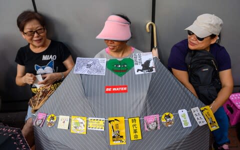 About 100 older Hong Kong citizens are staging a "silver hair" rally this weekend - Credit: Michael Zhang