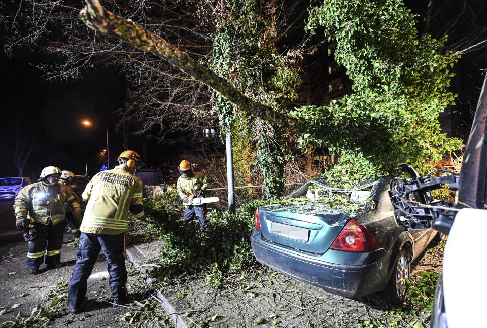 In Freiburg (Baden-Württemberg) ist ein Baum auf ein Auto gestürzt. (Bild: Patrick Seeger/dpa)