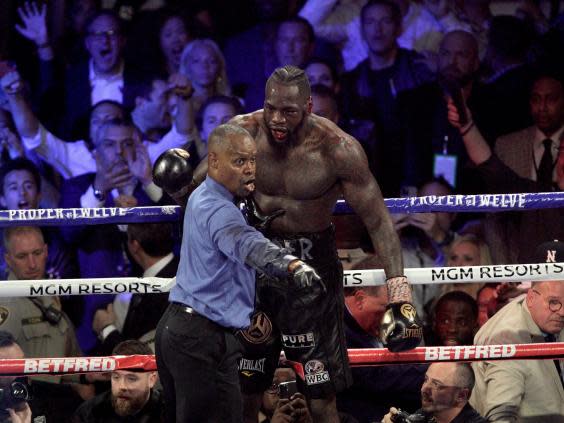 Deontay Wilder was incensed by the decision to pull him out of the fight (AFP via Getty)