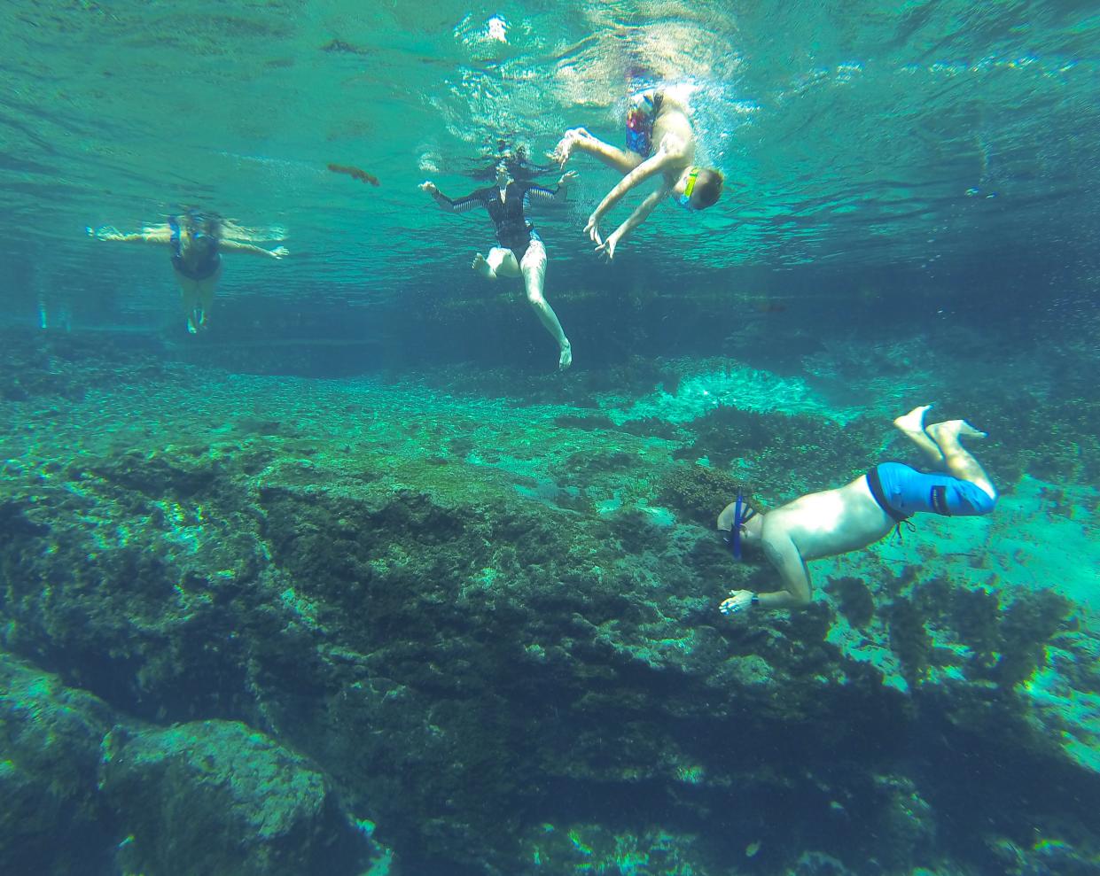 People swim in the main spring at Ichetucknee Springs State Park in Fort White Fla. October 15, 2021.