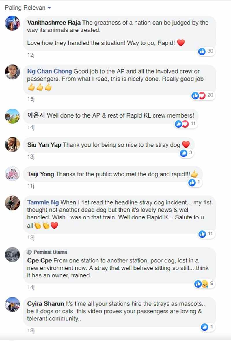 Facebook users commended Rapid Rail for not harming the canine. ― Screengrab via Facebook/RapidKL