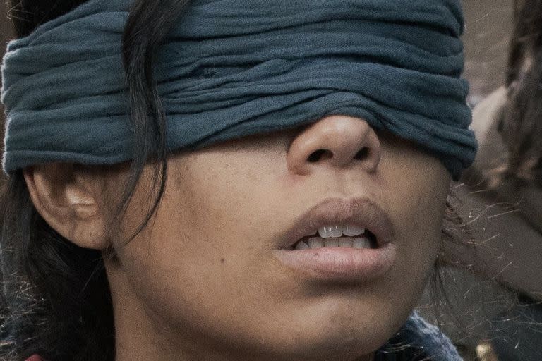 Bird Box Barcelona