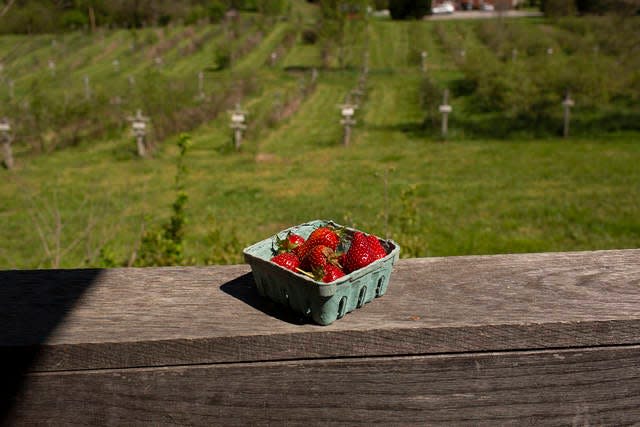 Wagner Berry Farm in Spring Hill will host its second annual Strawberry Festival this Saturday.