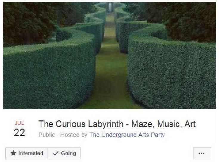 The festival, called The Curious Labyrinth, has been slammed online. Photo: Facebook