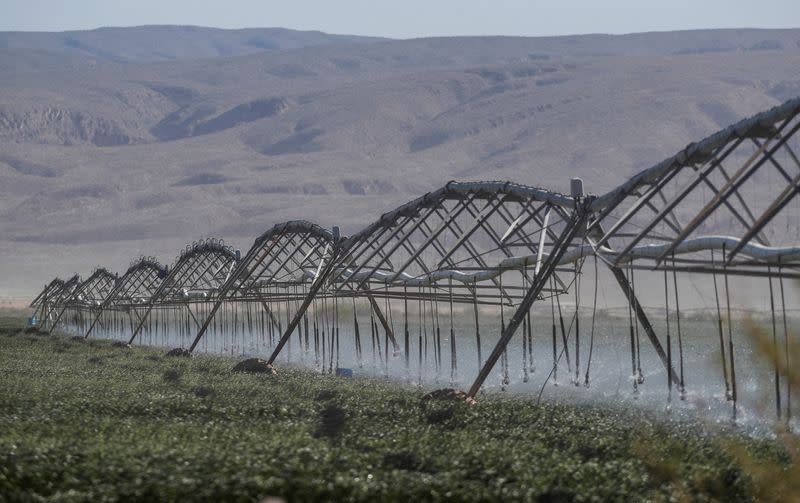 Water is disappearing from Mexico's vital desert oasis Cuatro Cienegas