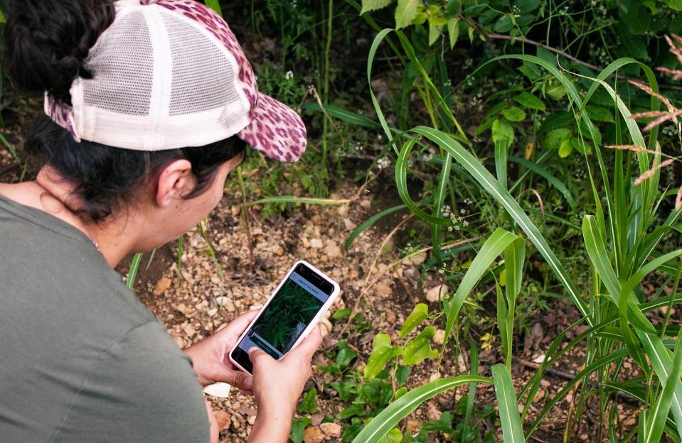 Students go to Kirby Lake to take a closer look at nature.