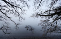 In this picture taken on Thursday, Nov. 15, 2018, fishermen on small boats take part in the traditional fish haul of the Krcin pond near the village of Mazelov, Czech Republic. Czechs will have to pay more for their traditional Christmas delicacy this year after a serious drought devastated the carp population this year. (AP Photo/Petr David Josek)