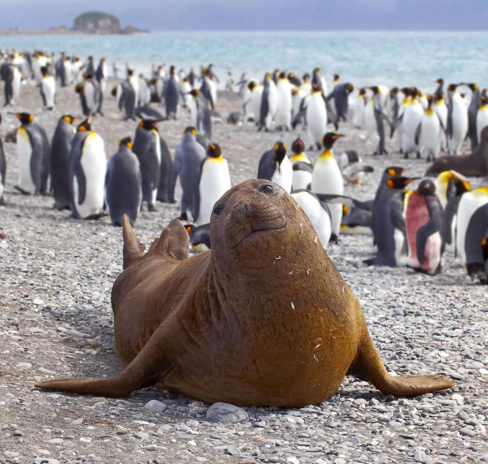 "I'm so embarrassed. I thought the invitation said 'come as you are' so I wore my birthday suit, but everyone else turned up in tuxedos! Where are my glasses?"