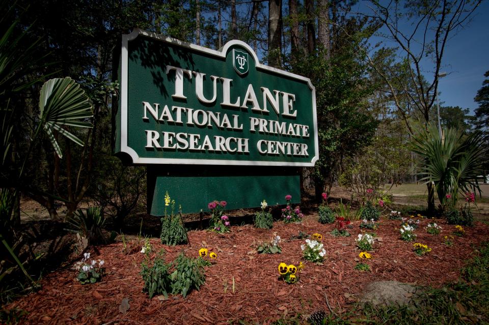 The Tulane National Primate Research Center is located on 500-acres in Covington, La.