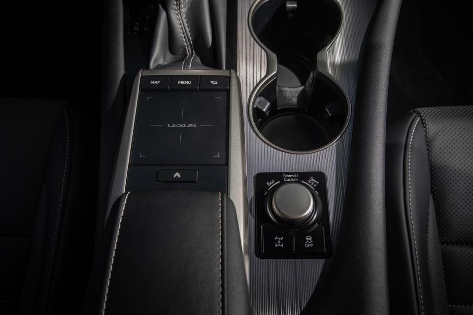 <p>2020 Lexus RX</p>