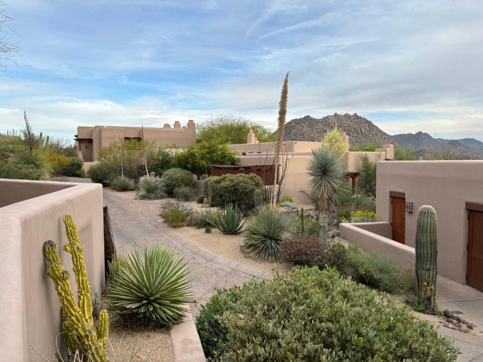 View of cactuses against clay building