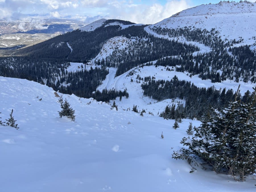 The path of a recent avalanche on Pikes Peak