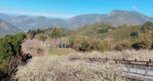 寒溪呢森林人文叡地 | Hanshini Forest Recreation Area (Courtesy of Hanshini Forest Recreation Area/Taipei Walker)