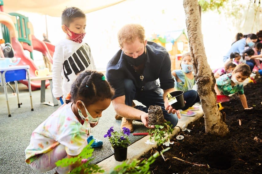 Prince Harry in LA planting flowers