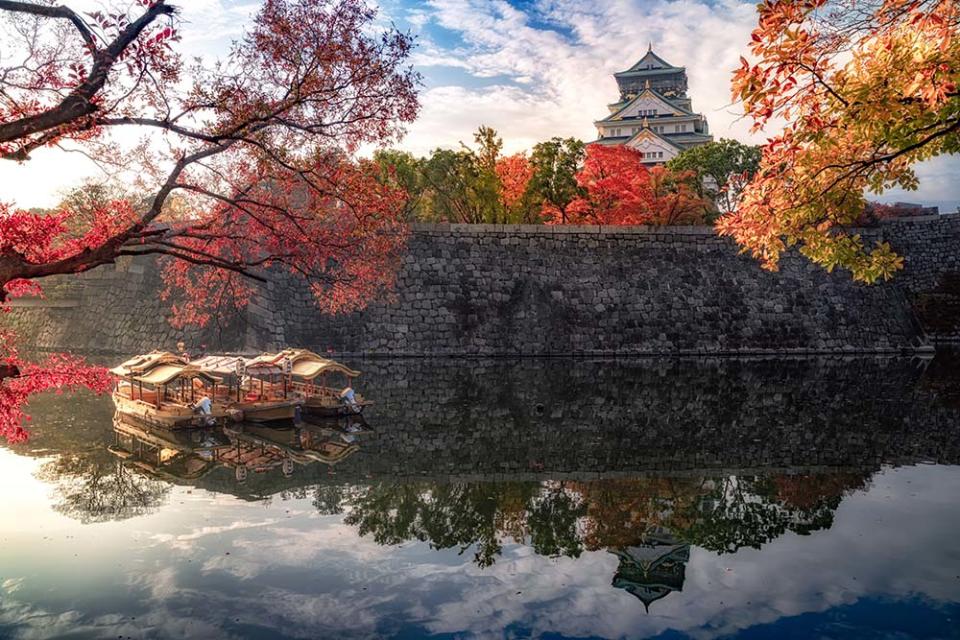 日本 賞楓 紅葉 小石川後樂園 明月院 大阪城 紅葉谷公園 栗林公園