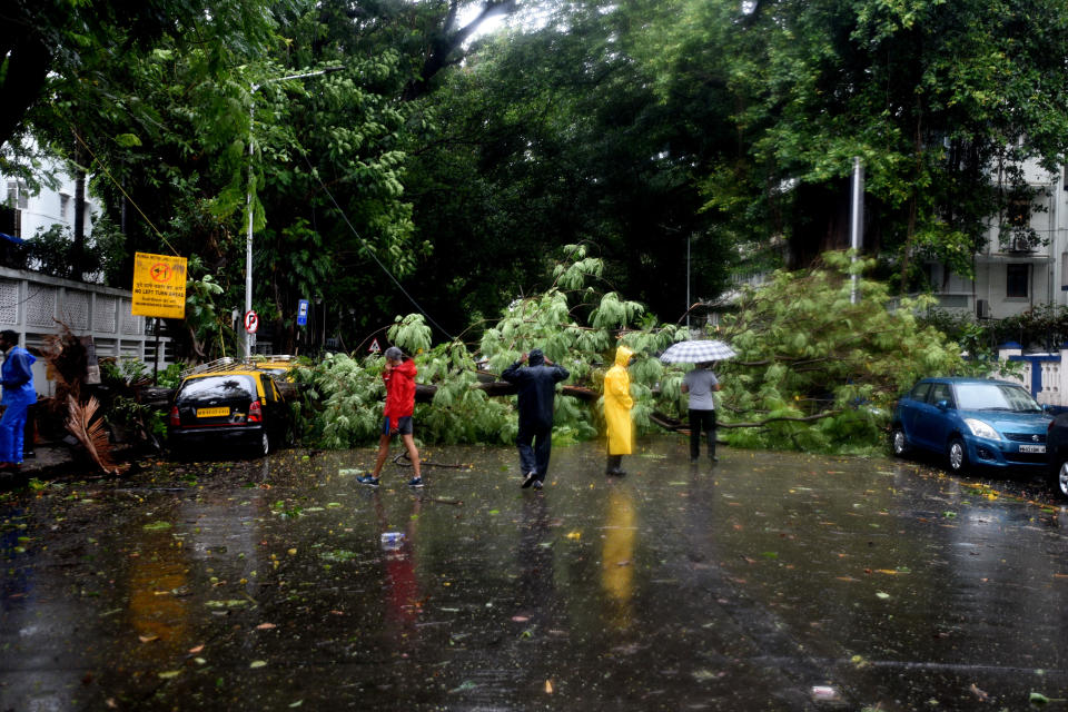 MUMBAI, INDIA - JUNE 03: Indian workers clear a tree that fell on a road due to strong winds triggered by Cyclone Nisarga in Mumbai, India on June 03, 2020. A storm in the Arabian Sea off India's west coast intensified into a severe cyclone on Wednesday, gathering speed as it barreled toward India's financial capital of Mumbai. Nisarga was forecast to drop heavy rains and winds gusting up to 120 kilometers (75 miles) per hour when it makes landfall Wednesday afternoon as a category 4 cyclone near the coastal city of Alibagh, about 98 kilometers (60 miles) south of Mumbai, India's Meteorological Department said. (Photo by Imtiyaz Shaikh/Anadolu Agency via Getty Images)