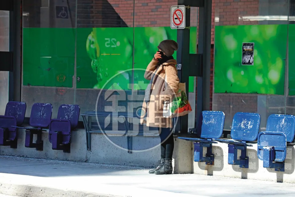 3月22日，採買完生活用品後，貴婦奈奈走到公車站等車，過程中未與人交談也未滑手機