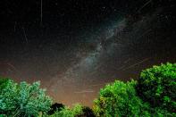 <p>If photography has always been a hobby you'd like to have, you can get even more creative with your camera by heading outside after dark and trying an astrophotography course. </p><p>With the help of a tutor, you'll learn how to take incredible astronomical photos, blending technology and art to capture the wonders of the sky, all while in the breathtaking surroundings of a Dark Sky site.</p><p><strong>Location:</strong> 10 sites in the UK</p><p><strong>Special CL price: </strong>£135 (usually £150)</p><p><a class="link " href="https://go.redirectingat.com?id=127X1599956&url=https%3A%2F%2Fwww.virginexperiencedays.co.uk%2Fcl&sref=https%3A%2F%2Fwww.countryliving.com%2Fuk%2Ftravel-ideas%2Fstaycation-uk%2Fg30728120%2Fcreative-hobbies-learn-new-skills-mental-health%2F" rel="nofollow noopener" target="_blank" data-ylk="slk:BOOK NOW;elm:context_link;itc:0;sec:content-canvas">BOOK NOW</a> <strong>Get code and search 'tutored astrophotography'</strong></p>