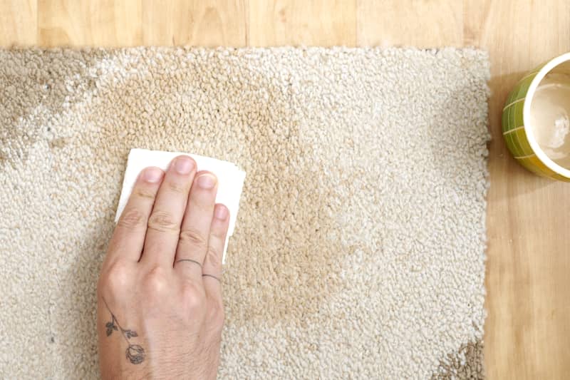 Overhead view of a hand dabbing a coffee stain out of a carpet with paper towel.