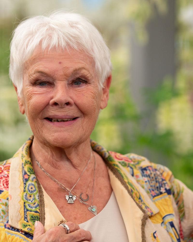 Judi Dench will play Madame Arcati in the remake of Blithe Spirit.