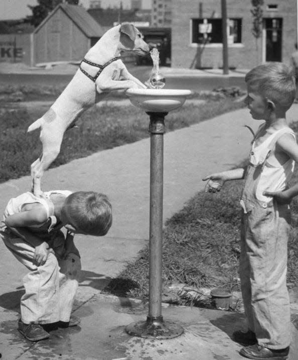 100 Milwaukee Objects/Bubblers: A young boy helps a dog drink from a bubbler. The image first appeared on a Milwaukee Journal photo page in August, 1938.