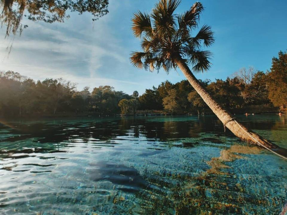 Silver Glen Springs - Ocala National Forest