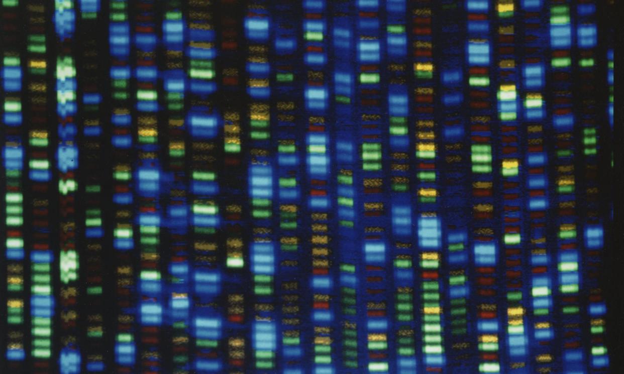 <span>The discovery was made after analysing the complete genomes of nearly 9,000 people with undiagnosed disorders.</span><span>Photograph: AP</span>