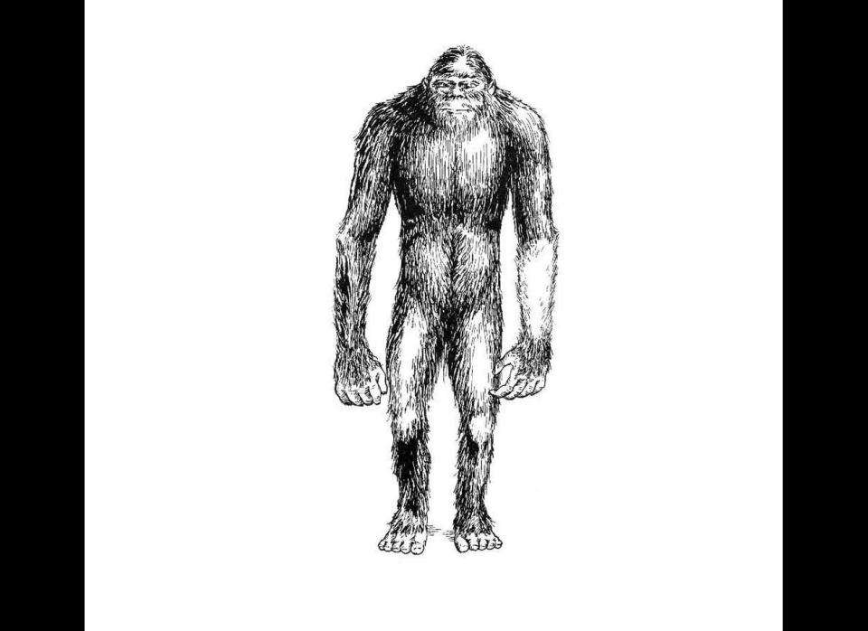 Depicted is an illustration of a creature reported to inhabit the Kemerovo region of Siberia. Scientists from the U.S., Russia and other countries have yet to find one of these creatures known as the Russian Snowman. In early October, researchers claimed to be 95 percent certain that the animal exists.