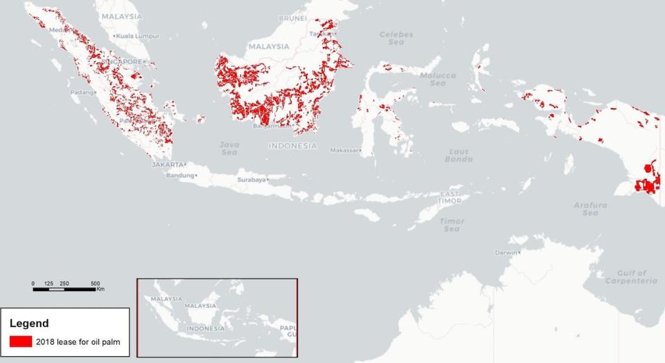 Corporate entities now control over a third of Indonesia’s farmland, primarily for the growing of palm for palm oil. (Chain Reaction Research)