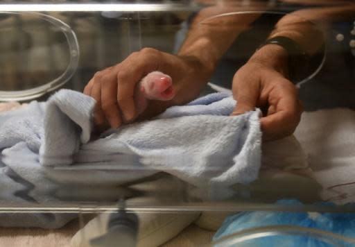 Panda gives birth to twins at French zoo, one cub dies