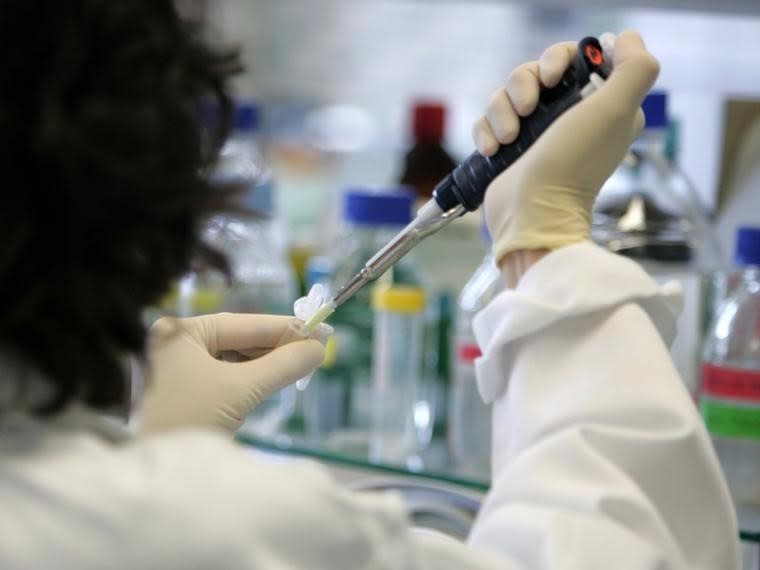 A researcher works at the Cytos laboratory in Schlieren near Zurich, May 24, 2005. REUTERS/Sebastian Derungs  STD/CR/AA 