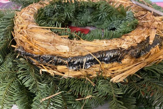Snake was curled up in 'natural' wreath (Karl Gaskell / SWNS)