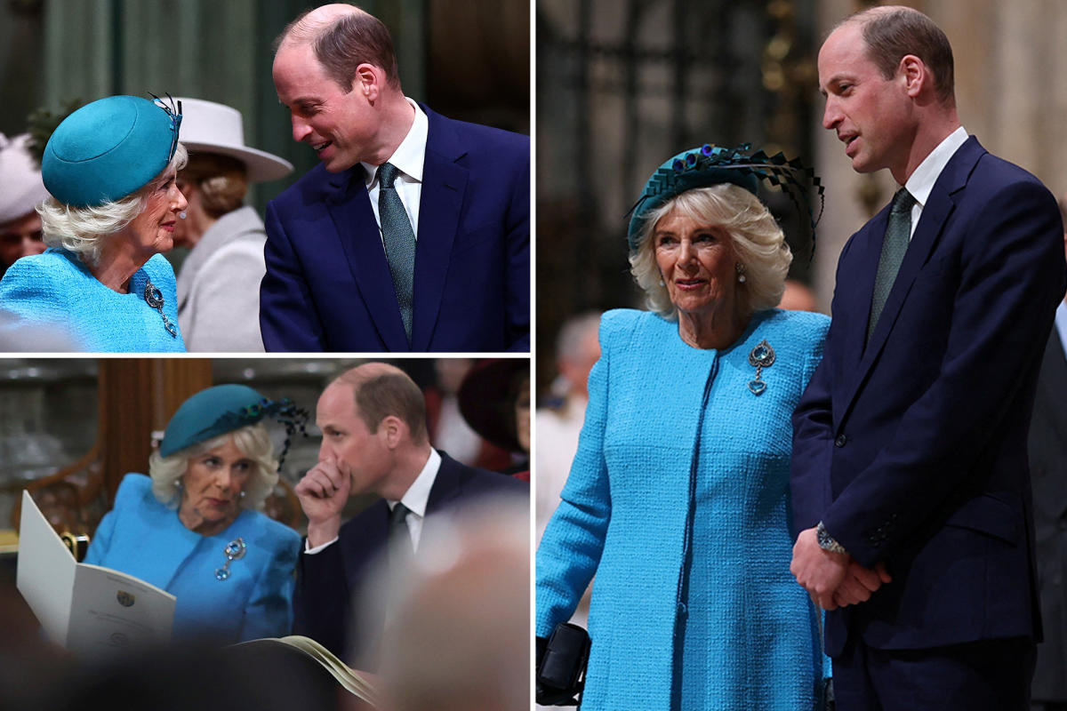 Oceans apart, William and Harry both salute Princess Diana's legacy at an  awards ceremony - ABC News