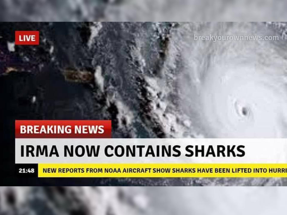 Hurricane Irma verursacht Angst vor "Sharknado"