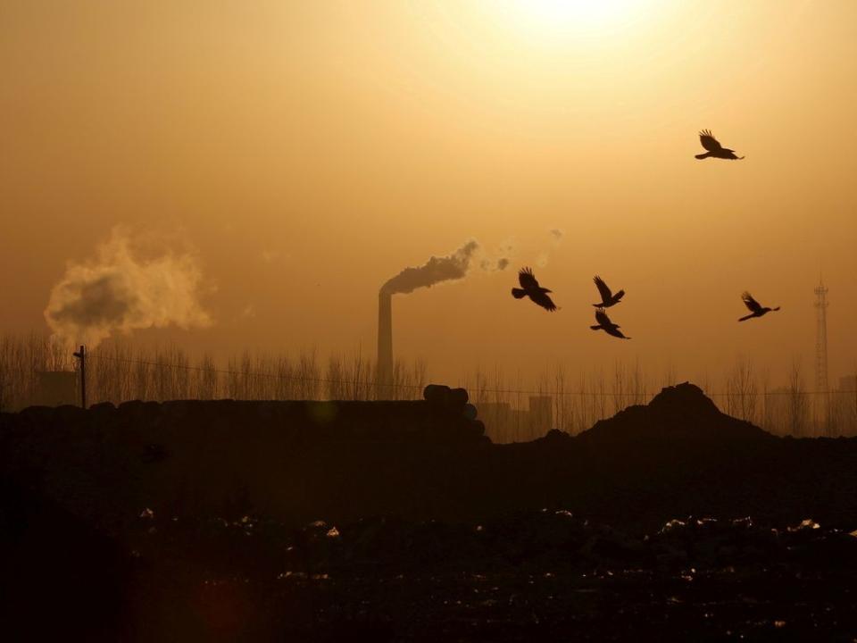  Birds fly over a closed steel factory where chimneys of another working factory are seen in the background, in Tangshan, Hebei province, China.