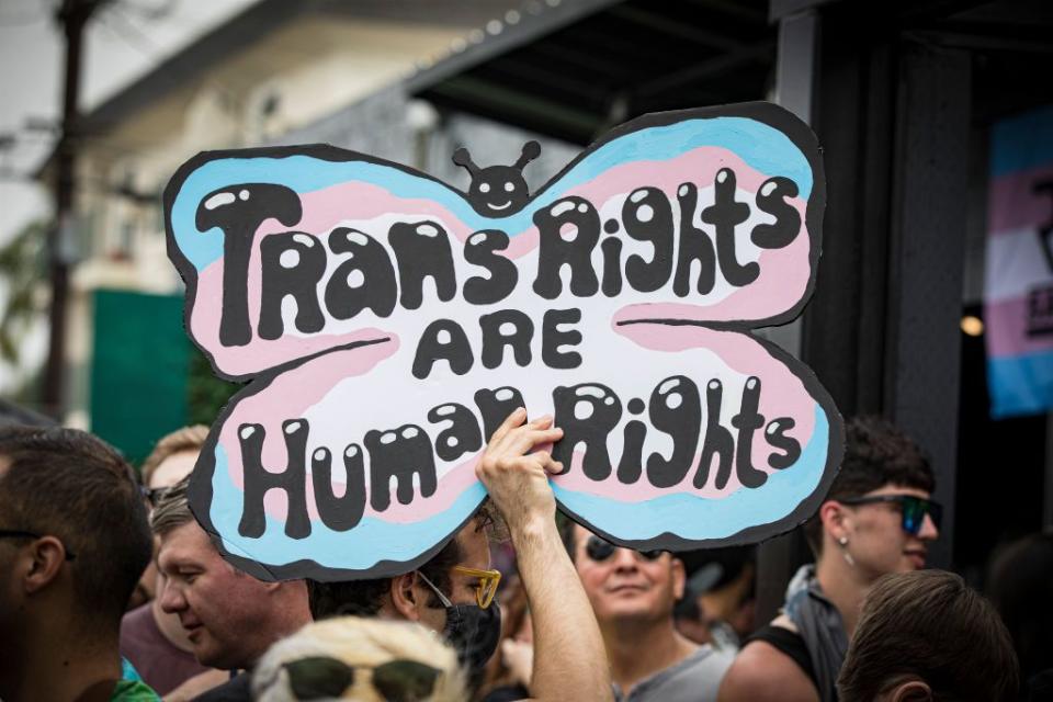 protest sign that reads trans rights are human rights