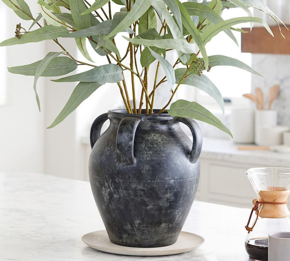 Dreamy Eucalyptus Branch & Rustic Vase