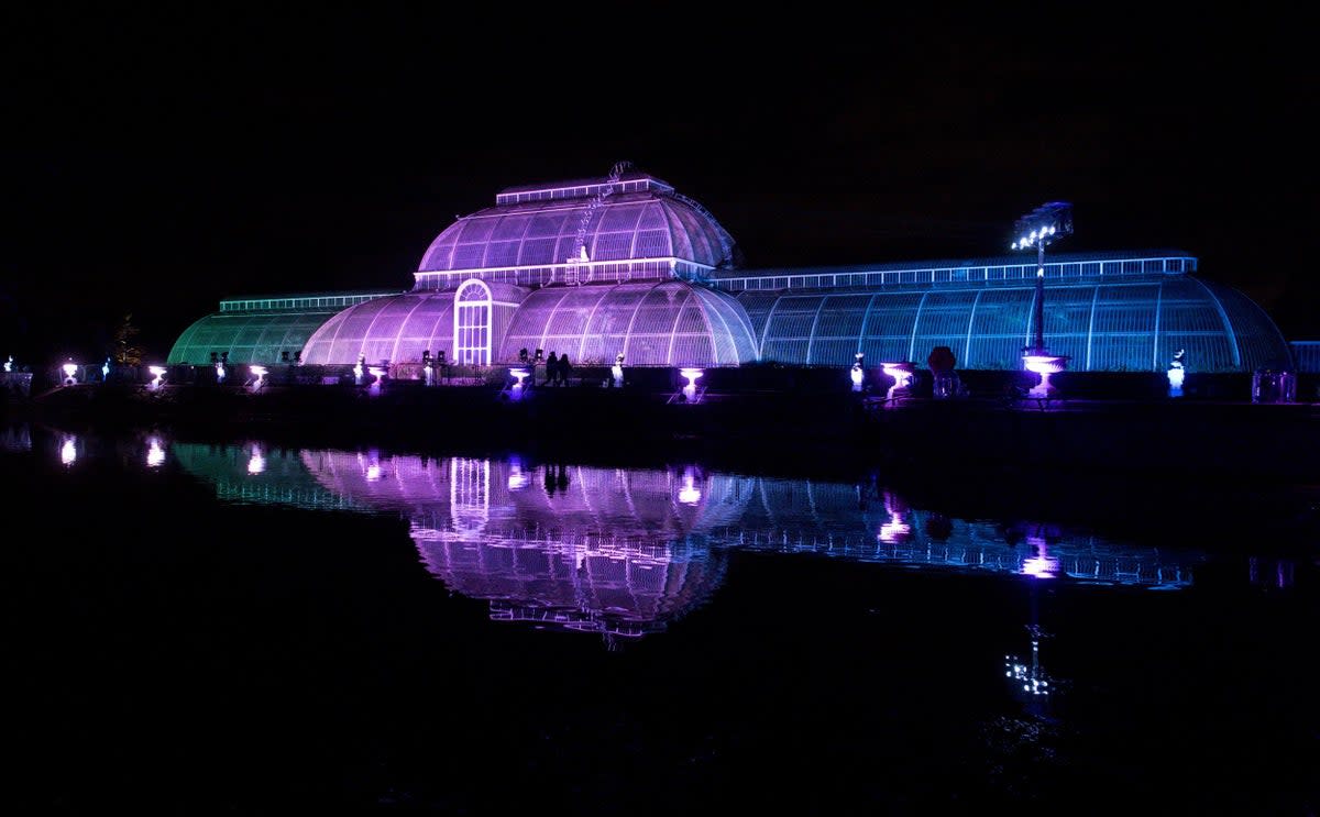 The Palm House at Kew Gardens in south-west London in 2016 during an event to promote the launch of Christmas at Kew Gardens (Justin Tallis/AFP/Getty Images)