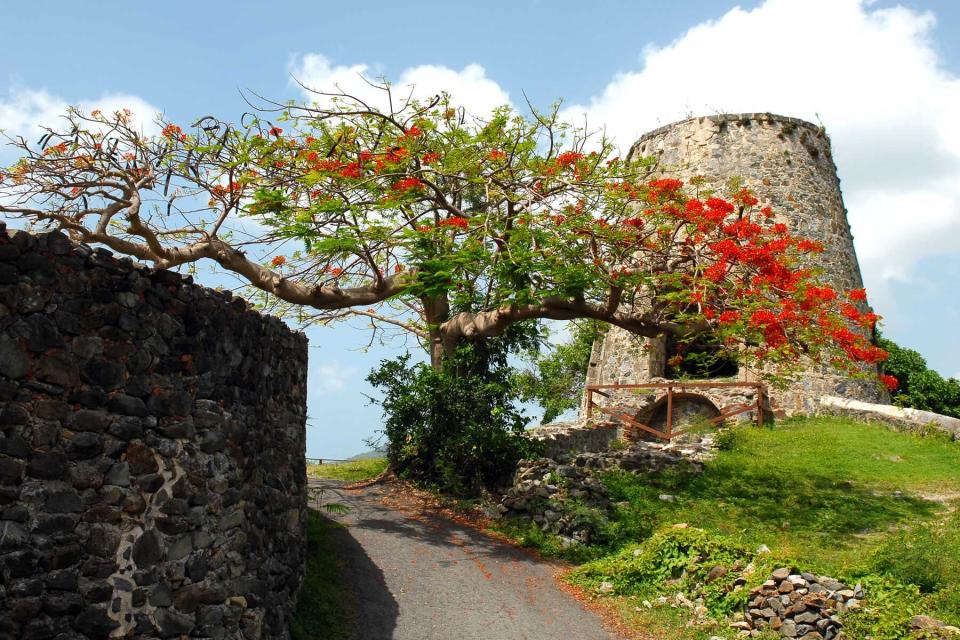 The old Annaberg Sugar Mill, on the island of St John