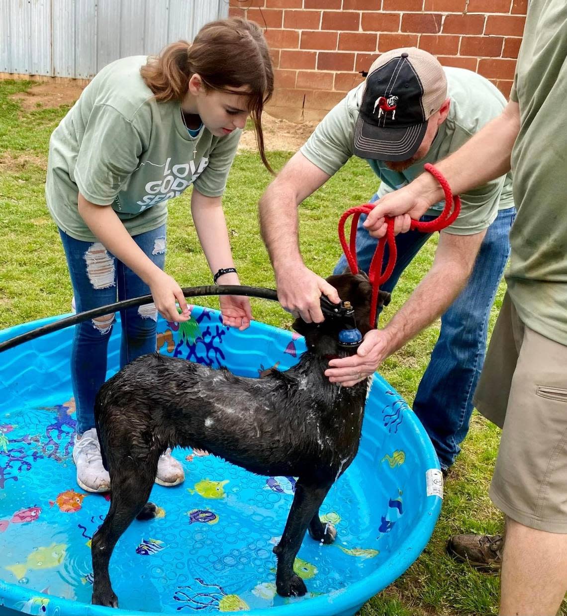 All About Animals Rescue volunteers wash a rescue dog. The nonprofit will hold its 15th annual Race Run on Saturday benefiting the no-kill rescue.