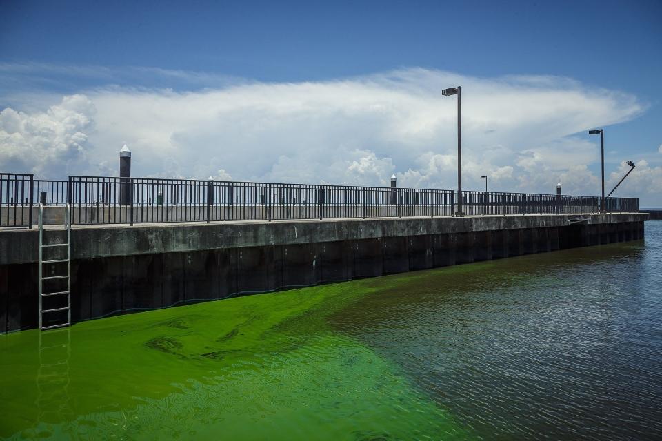 In this photo from July of last year, docks and walkways on the north end of the Pahokee City Marina sit closed because cyanobacteria, or blue-green algae, was found in the waters of Lake Okeechobee in Pahokee.