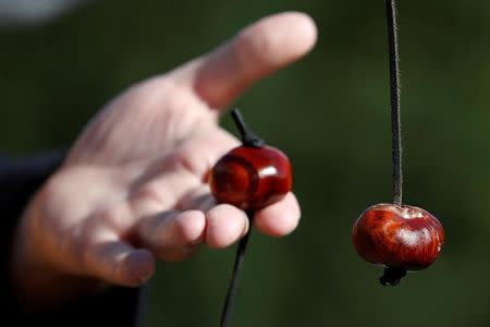 Competitors swing their conkers during a match at the World Conker Championships, in Southwick, central England October 9, 2016. REUTERS/Phil Noble